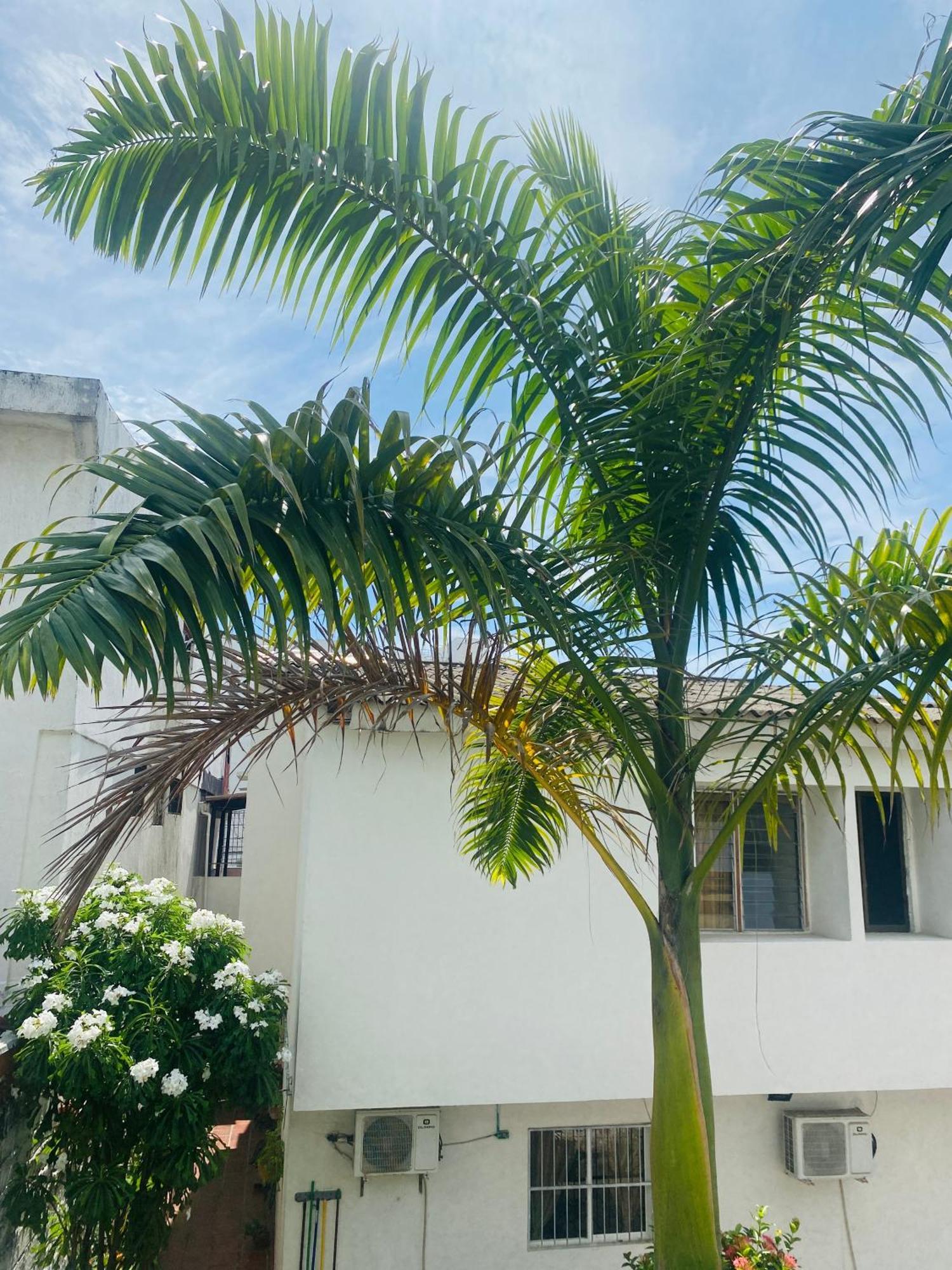 Hostel Cerca Al Centro Historico Cartagena Luaran gambar